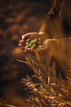 將圖片載入圖庫檢視器 法國 Chateau D'Estoublon Beruguette Varietal 特級初窄橄欖油 500ml - Club France Hong Kong