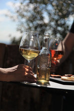 Load image into Gallery viewer, 法國 Alain Milliat 6支1000ml葡萄汁自選優惠組合 - Club France Hong Kong