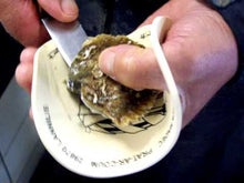 Load and play video in Gallery viewer, French LA ROYALE PRAT-AR-COUM Oysters (25 pieces)