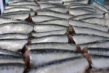 Load image into Gallery viewer, 法國Jean de Luz大西洋橄欖油浸沙甸魚320g - Club France Hong Kong