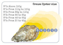 Load image into Gallery viewer, French FINE DE BRETAGNE Oysters (24 Pieces)

