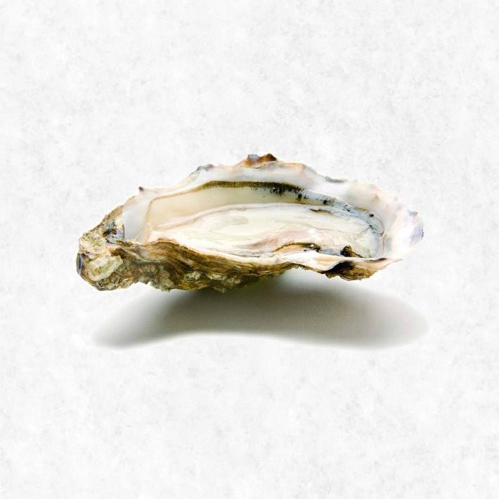 French FINE DE CLAIRE Oysters (24 pieces)